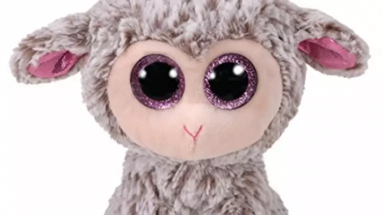 (P) Cum se aleg jucariile de la Nichiduta in functie de vasta copilului?