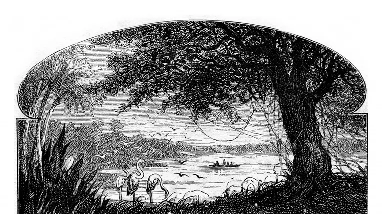 Urcă la bord alături de Dick, în “Căpitan la cincisprezece ani”, din Colecția Jules Verne!