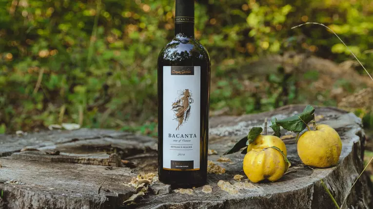 Ce vinuri bem toamna aceasta?