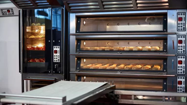 Cuptor electric cu convecție profesional vs. cuptor pe gaz: ce să alegi?