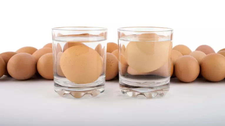 Cum să testezi daca ouăle de casă sunt proaspete?