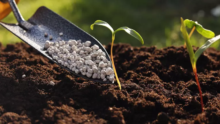 Ce soluții moderne poți implementa în grădina ta?