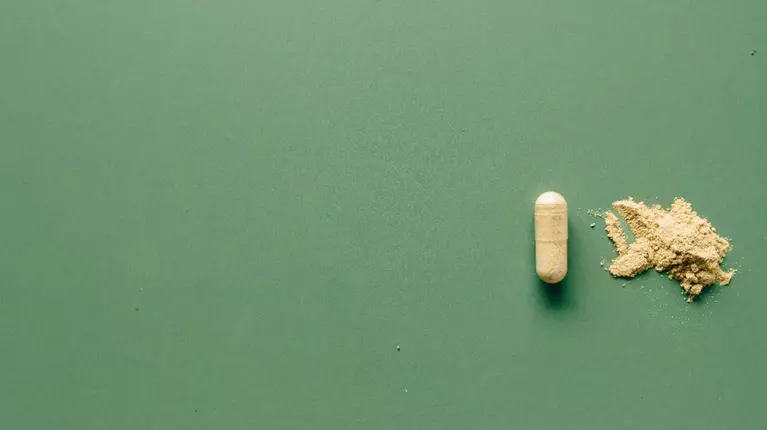 Ce rol joacă microbiomul intestinal în absorbția suplimentelor pe bază de plante? Aspecte importante și variante recomandate în 2026