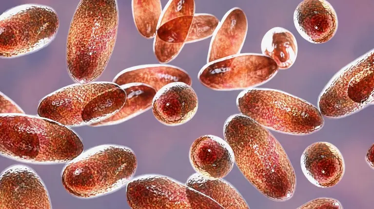 Ce este ciuma pneumonică și cum se răspândește. De ce este cea mai periculoasă formă de pestă