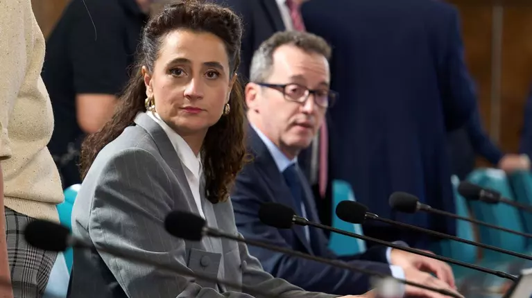 Cine este Ioana Ruxandra Victoria Ciocan. A fost curator, cadru didactic, iar acum conduce Ministerul Culturii