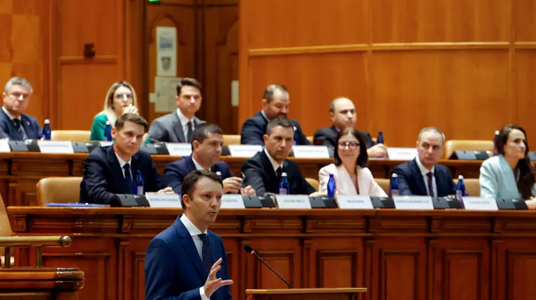 PNL, decizie legată de guvernul Luca Niculescu: „Nu, mulțumim”. Ce condiții i-au pus premierului desemnat