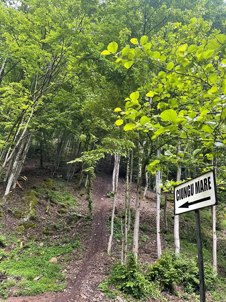 Loredana Iordache, de la pupitrul știrilor în vârf de munte