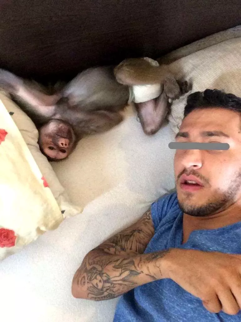 iubita-margherita-768x1024