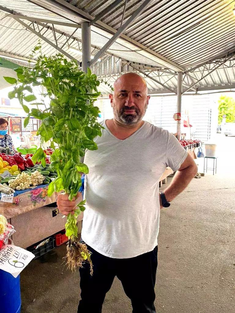 Catalin-Scarlatescu-7-768x1024-1