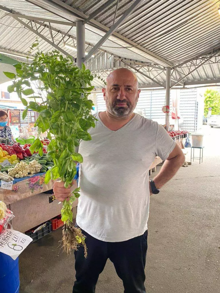 Catalin-Scarlatescu-5-768x1024