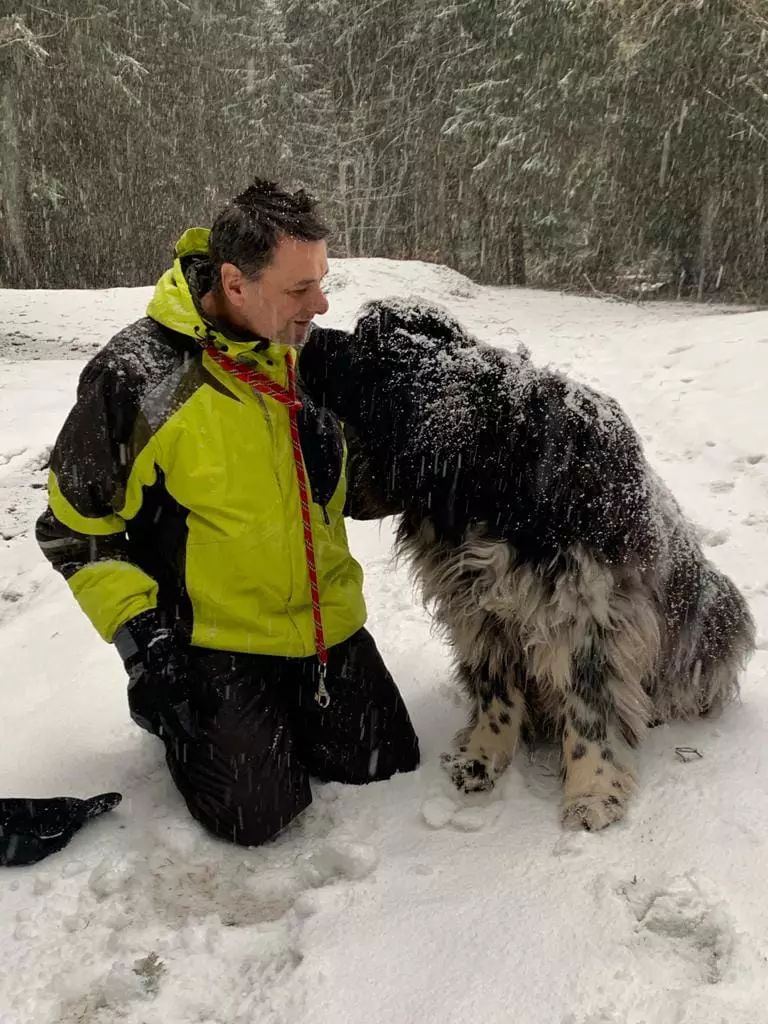 sanda-ladosi-despre-moartea-lui-bogdan-stanoevici-3