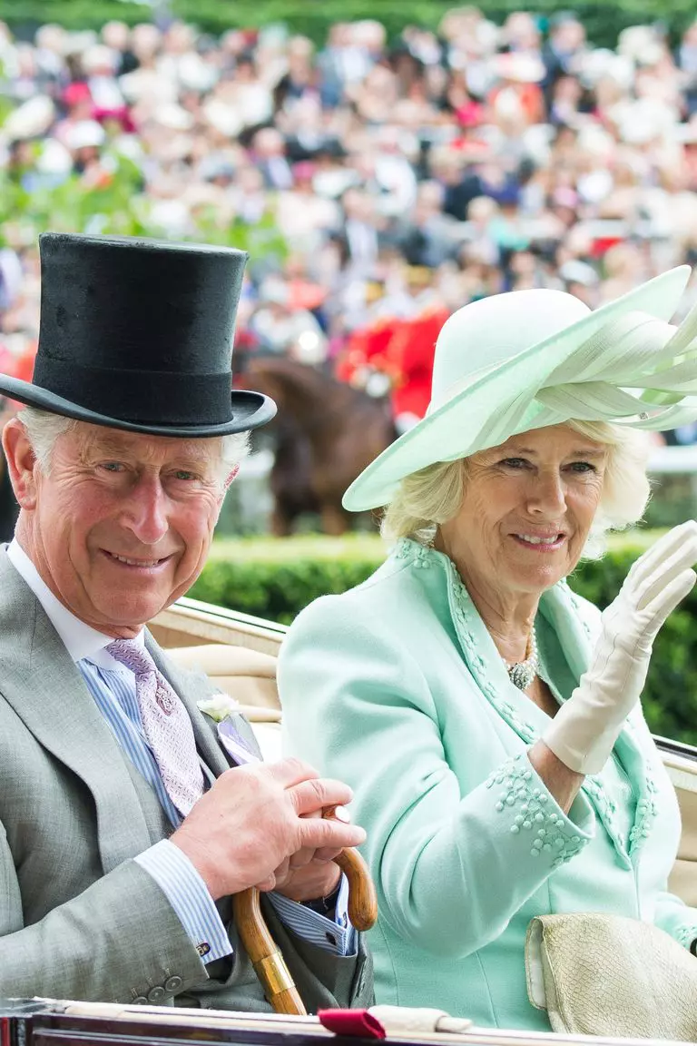 hbz-prince-charles-2015-gettyimages-477311194-1541543092