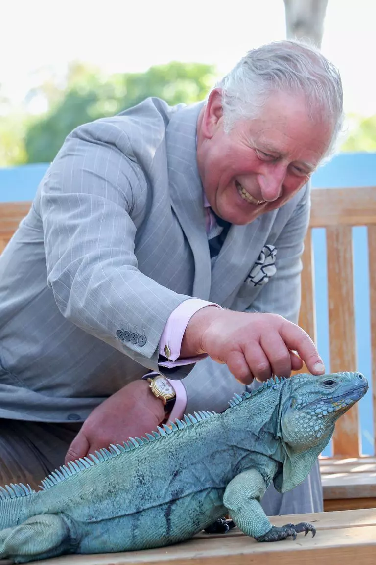 hbz-prince-charles-2019-gettyimages-1138919901