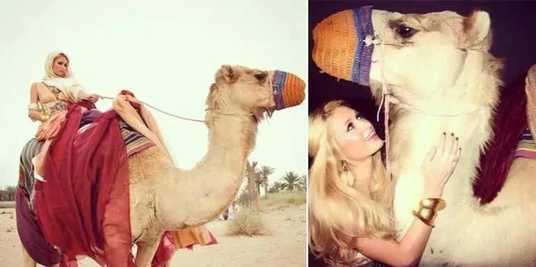 poze-animale-amuzante-vedete-paris-hilton.jpg