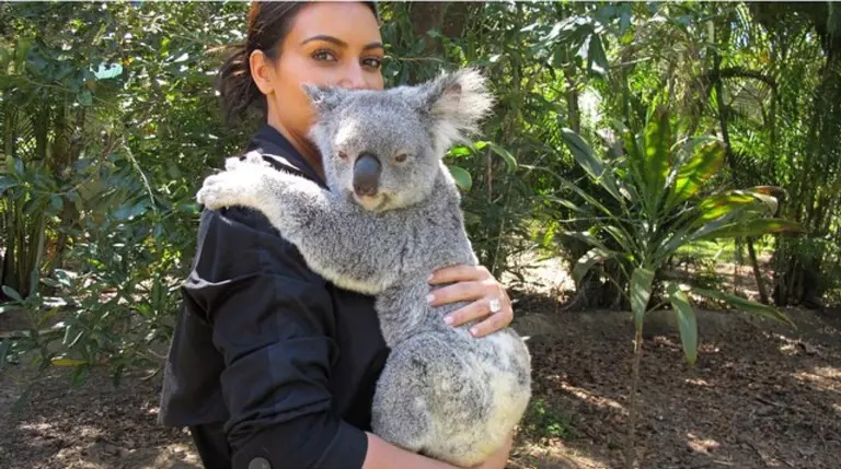 poze-animale-amuzante-vedete-ki-kardashian.jpg
