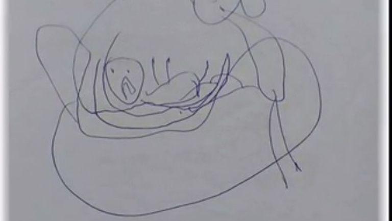 Desenele Descoperite De Părinții Unei Fetițe De 5 Ani Au Scos La