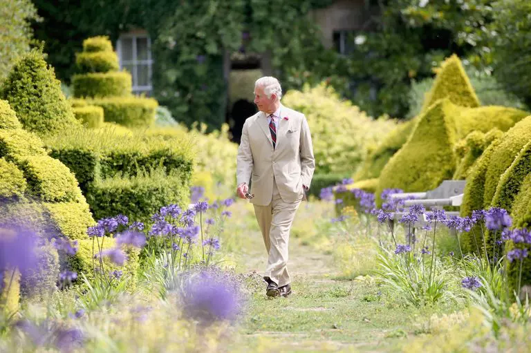 775256628-cj-8543-3585306df454c1d4b296aec1e7bc88ba-jpg-1542657730