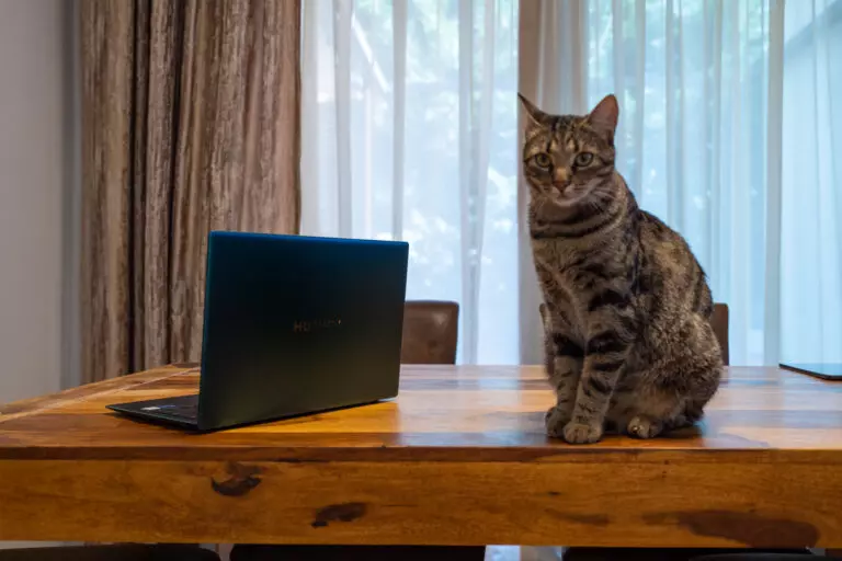 acasa-dani-otil-9-768x512