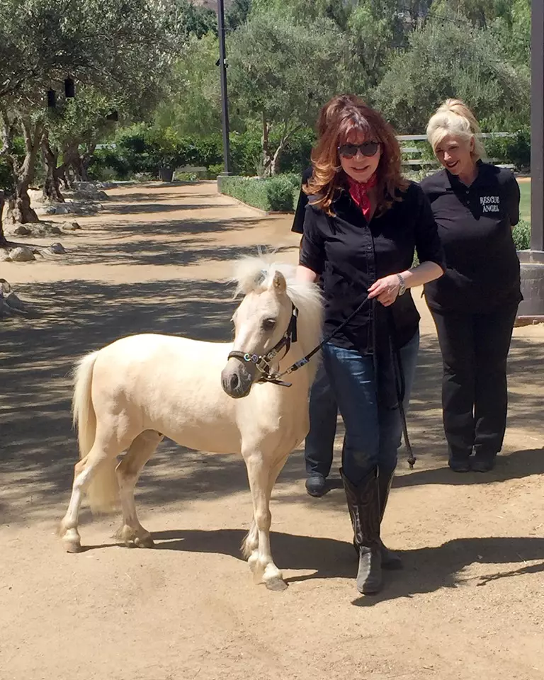 Victoria Principal şi-a deschis o fermă unde sunt salvate şi îngrijite animale