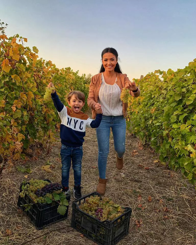 70503840_2726570087387117_6774487383820730368_n