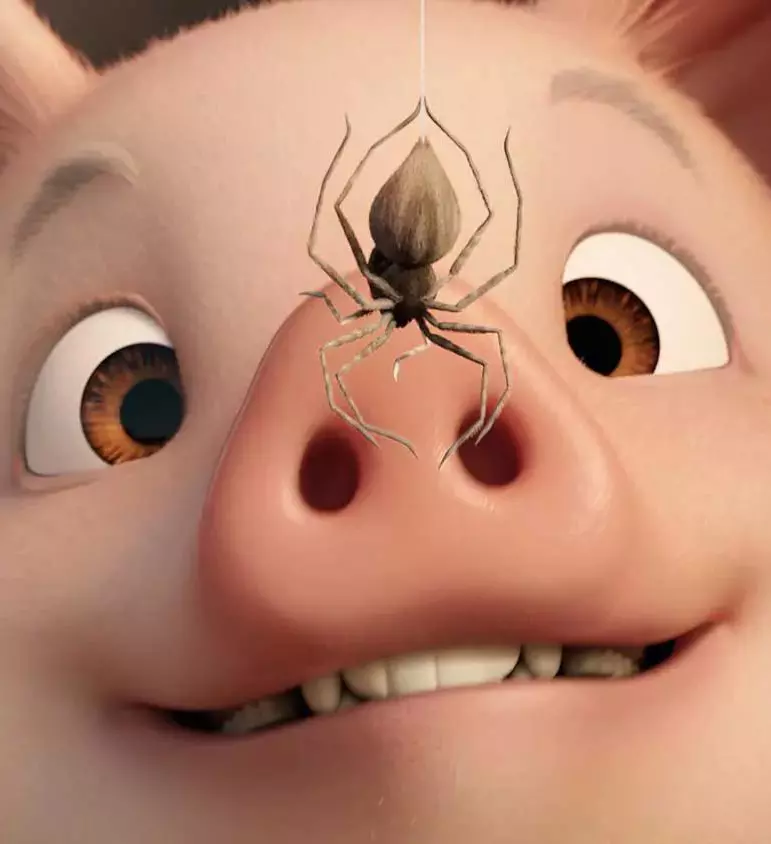 Charlotte’s Web