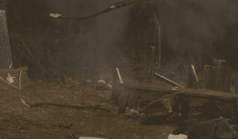 creanga lovita de fulgr