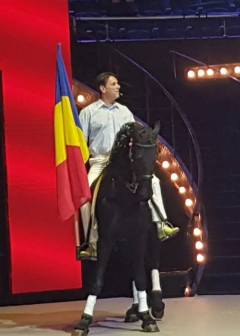 sanda-ladosi-despre-moartea-lui-bogdan-stanoevici-4