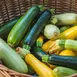 Cum se congelează dovleceii fără să devină apoși după decongelare