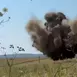 O dronă s-a prăbușit în Tulcea și a explodat. Radarele MApN nu au detectat aparatul