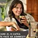 Ce cafea ți se potrivește în funcție de stilul tău de viață? Ghidul tău pentru ceașca perfectă