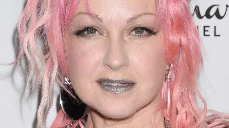 Hollywood,-,Nov,27:,Cyndi,Lauper,Arrives,To,The,85th