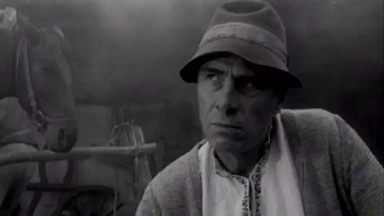 mitica-popescu-1-780x439