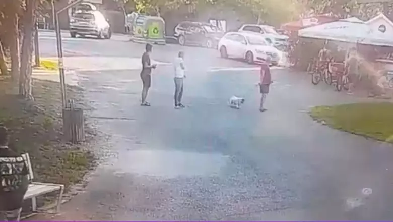 Jmhhc2g9NzcxZTA3ZGY1MjFjMzNjN2Q1YzVmNDg2NjhlMzU1NjY=.thumb