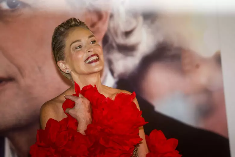 sharon stone 2