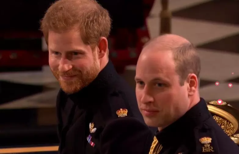 printul harry si printul william
