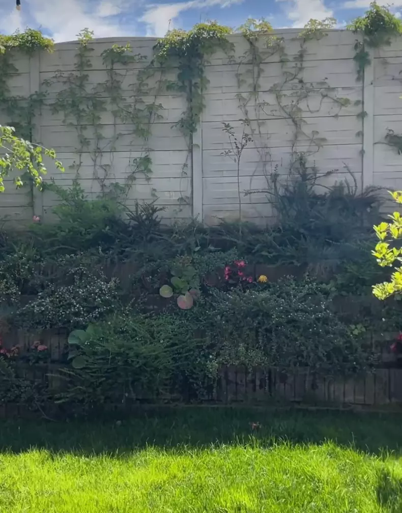 whatsapp-image-2024-05-01-at-14.13.38