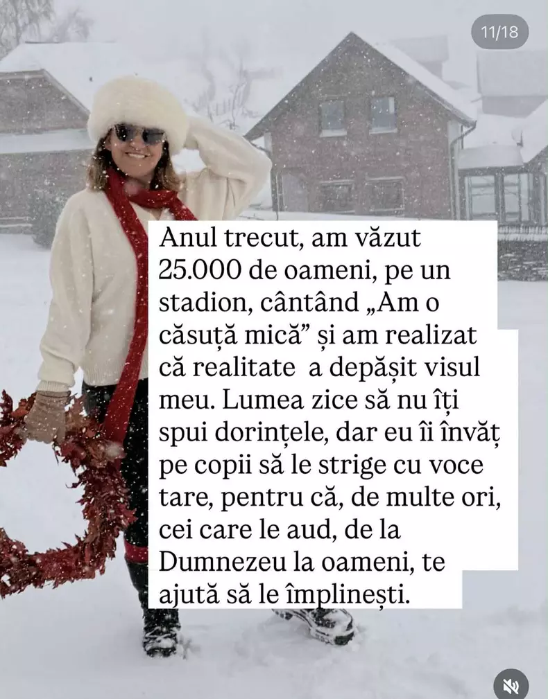 Mirela Retegan postare11