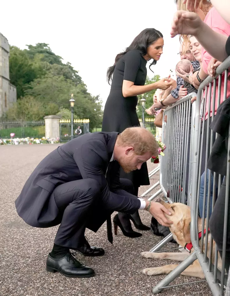 Printul Harry si Meghan Markle