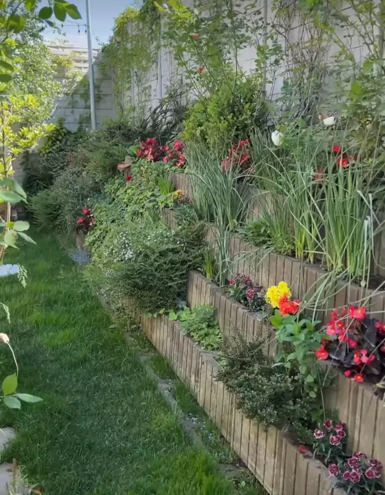 whatsapp-image-2024-05-01-at-14.13.36