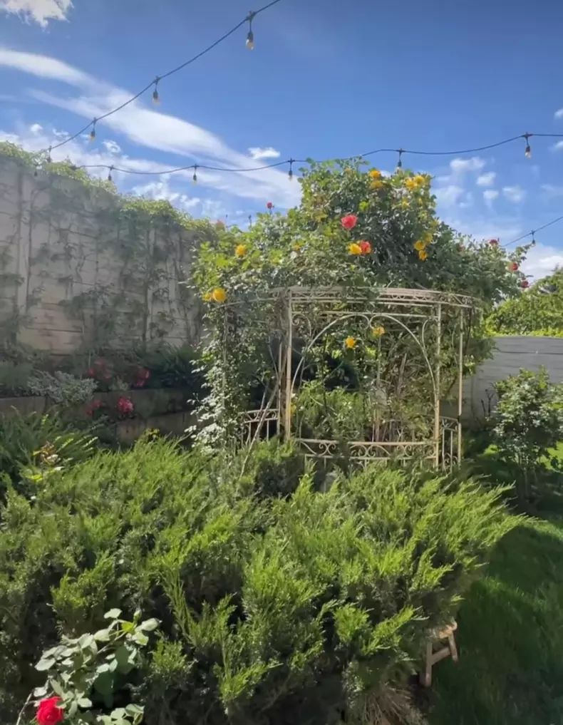 whatsapp-image-2024-05-01-at-14.13.43-1