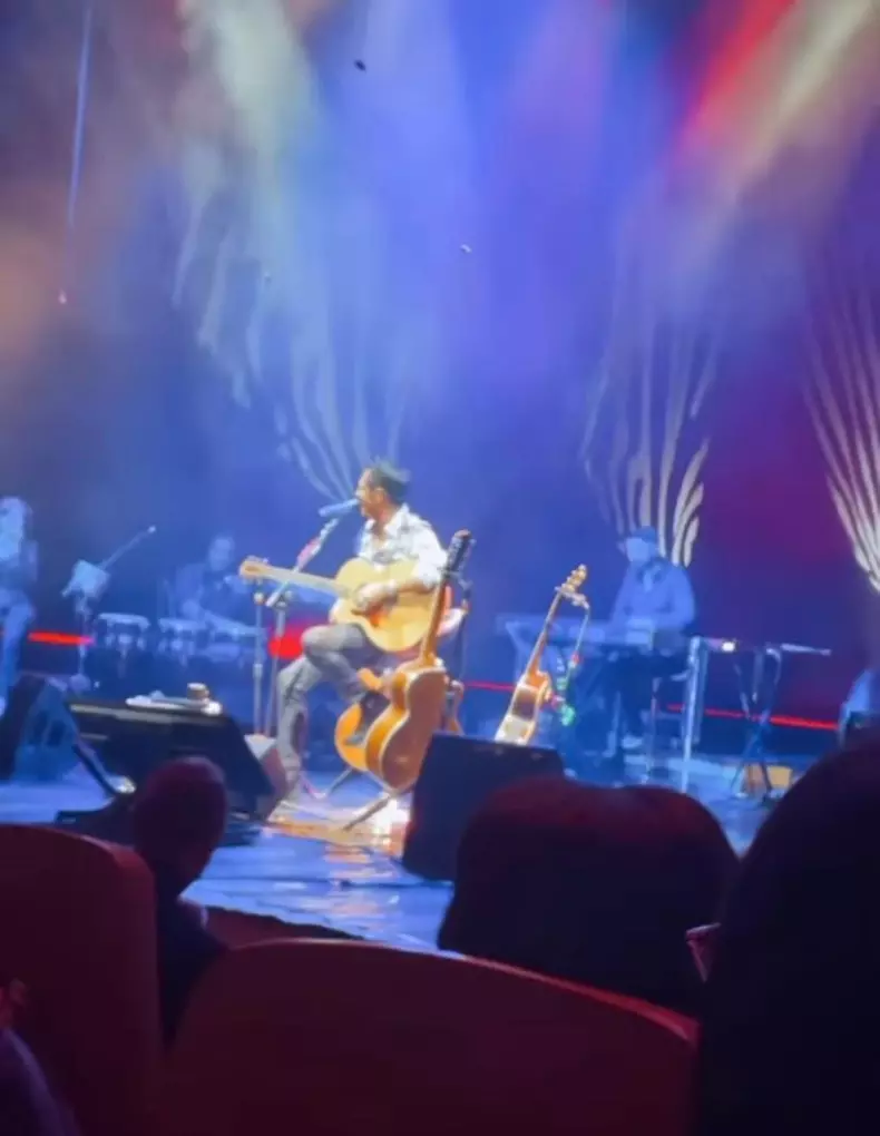 stefan concert