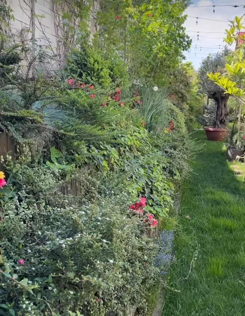 whatsapp-image-2024-05-01-at-14.13.37-1