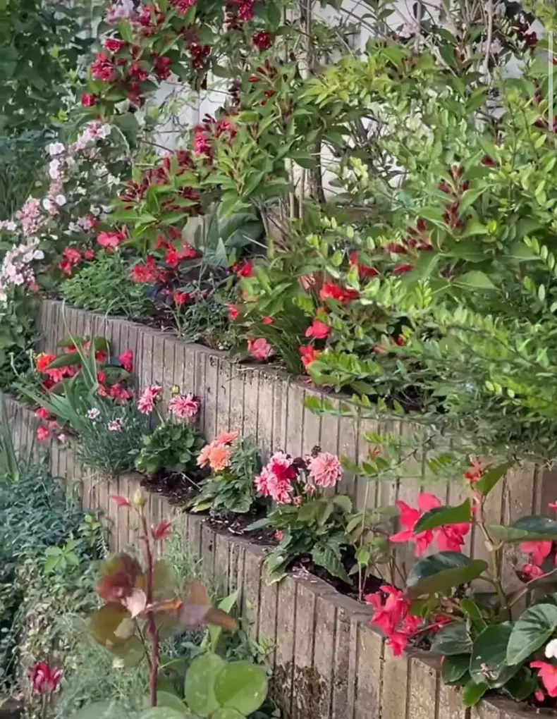 whatsapp-image-2024-05-01-at-14.13.42