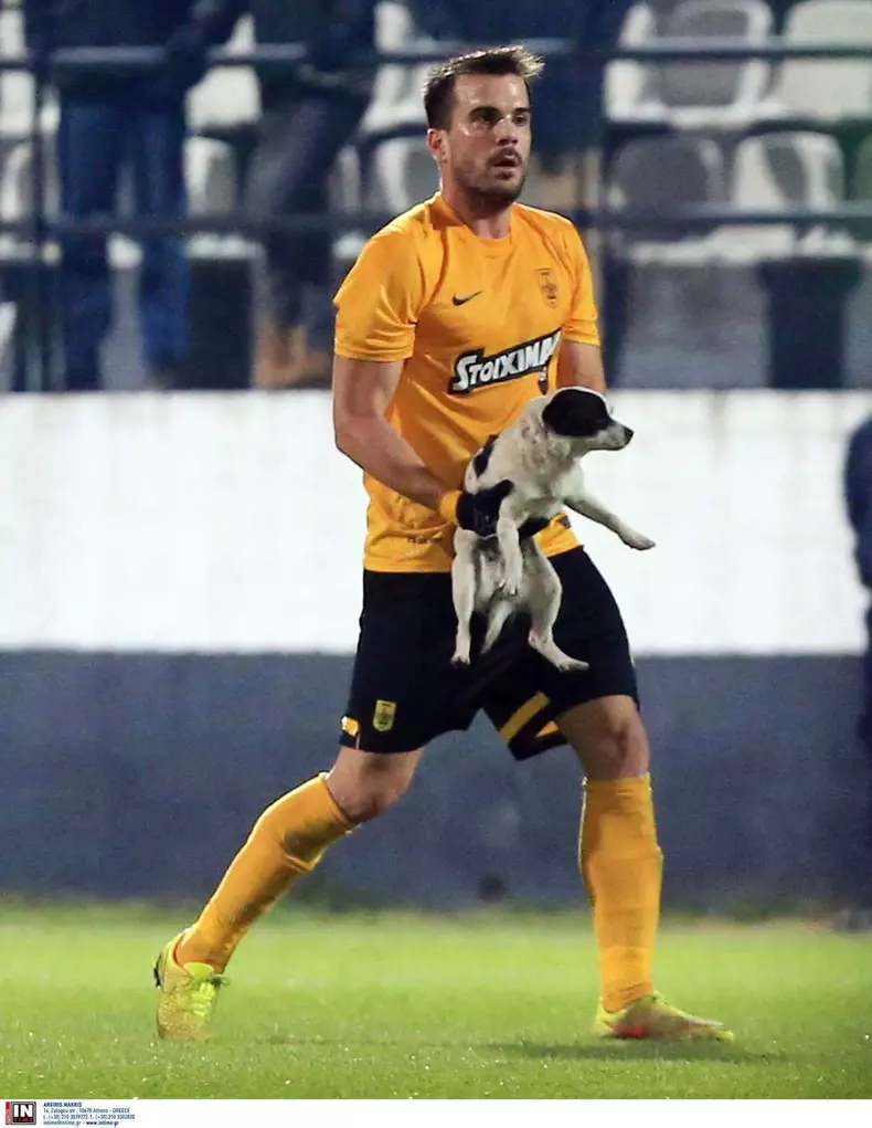 16487133_917827821687242_7097395527272561310_o