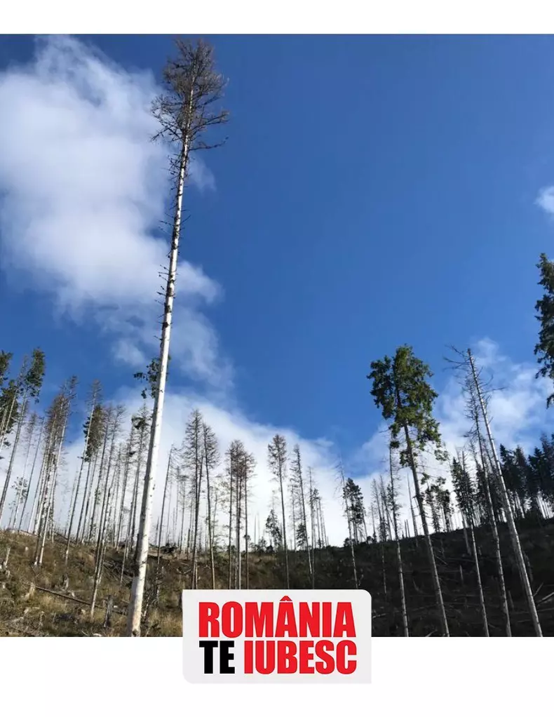romania-te-iubesc-alex-dima-2