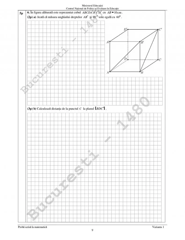 Examen evaluare nationala