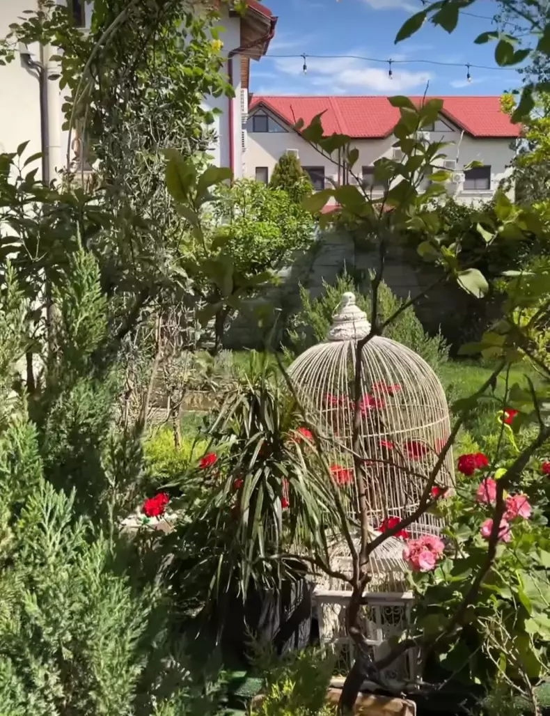 whatsapp-image-2024-05-01-at-14.13.36-1