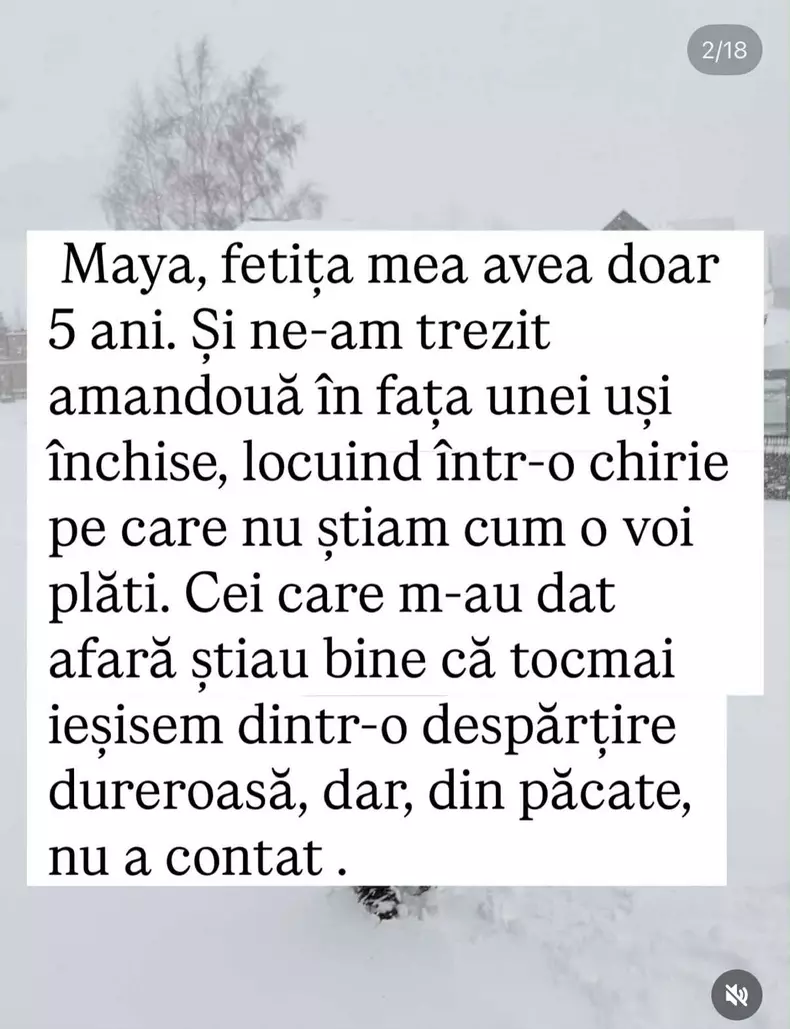 Mirela Retegan postare2