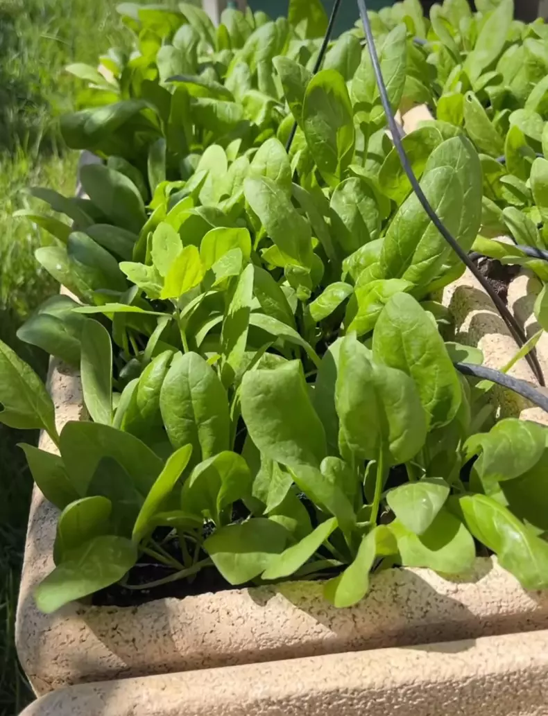 whatsapp-image-2024-05-01-at-14.13.39