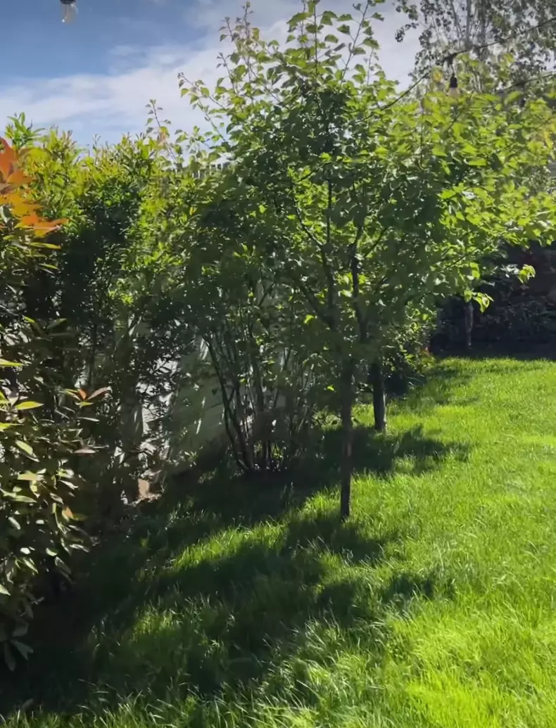 whatsapp-image-2024-05-01-at-14.13.39-1